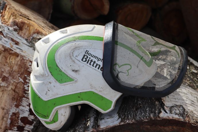 Schutzhelm mit Visir liegt auf Baumstamm